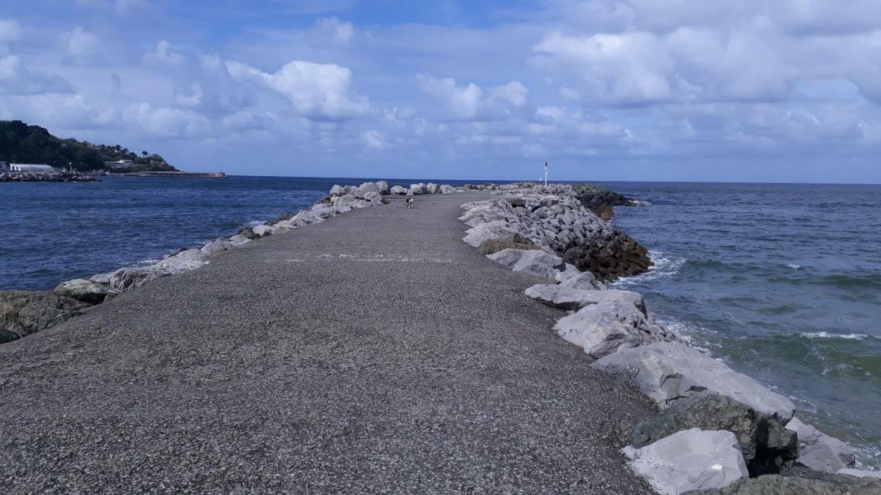 Les Hirondelles 2Km De La Plage-Jardin-Wifi-Parking-Draps Et Serviettes Hendaye Exterior foto